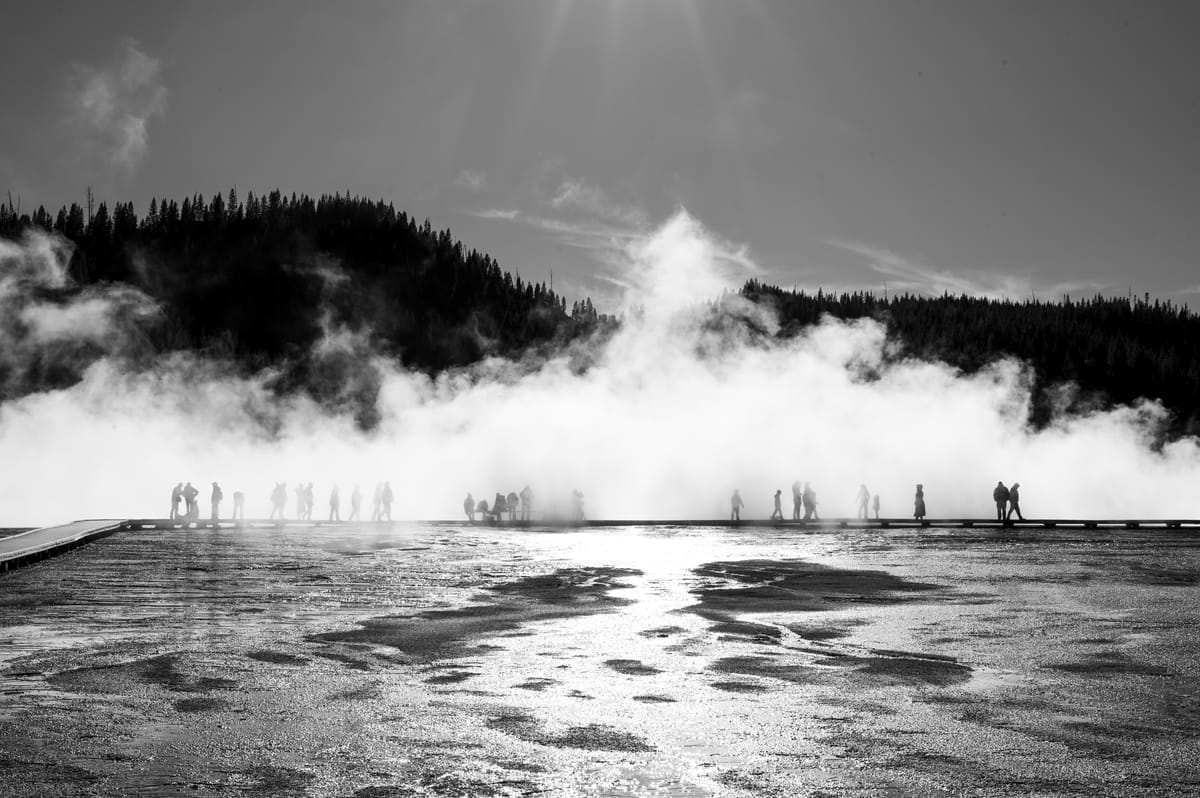 Mere Being - 025 - October - Minnesota, Quail Egg, Cabbage